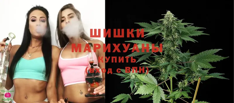 Марихуана White Widow  Гаврилов Посад 